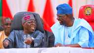 Takarar 2023: Basarake Ya Zage Yana Yi wa Bola Tinubu da Gwamnan APC Kamfe