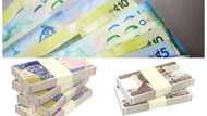 Naira and three other African currencies that flopped badly in 2022