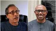 2023: Heartbreak, trouble for APC, Tinubu as influential American pledges support for Peter Obi