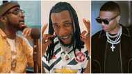 We are the 3 biggest right now but it's clear Burna and Wizkid are fighting me, Davido says in explosive interview (video)