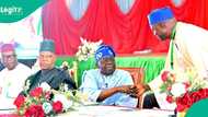 'Abin da ya sa APC ta lashe mafi yawan zabukan cike gurbi da aka yi a Kano da jihohi 12'