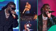 “Something changed”: Burna Boy pauses Boston show to thank fans after backlash