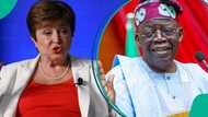 IMF warns Nigeria to adjust 2025 budget for market realities