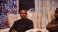 2023 presidency: Powerful northern governors set to back Peter Obi as he finally gets winning strategy