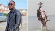 Tobi Bakre shares video of moment he was thrown inside water as photo of horse saga resurfaces