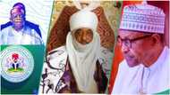 Tinubu or Buhari: Sanusi finally picks worst economic manager