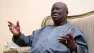Afenifere berates President Buhari over shoot-on-sight order