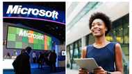 Microsoft announces new job opportunities in the US, Canada for Nigerians, other African countries