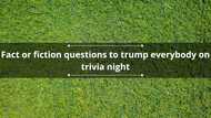 90+ fact or fiction questions to trump everybody on trivia night
