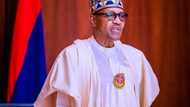 President Buhari moves to reduce the rising cost of food in Nigeria