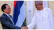 Shehu Sani reacts to Buhari's call for the creation of special crimes courts