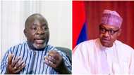 Your confession of failure has vindicated us - PDP sends message to APC