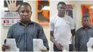 Breaking: NDLEA arrests 2 Qatar-based drug lords, seizes 'mkpulummiri'