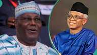 Video trends as El-Rufai denies betraying Atiku: “Obasanjo was right”