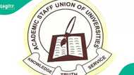 ASUU rejects federal government’s loan scheme for university staff: "We're in debt"