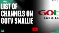 The GOtv Smallie package — every channel, the price, and how to subscribe to GOtv Smallie