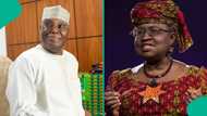 Yadda Atiku ya kusa zabar tsohuwar Minista a matsayin abokiyar takara a zaben 2027