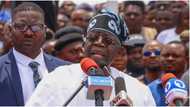 Will Tinubu’s inauguration be suspended or postponed? Popular APC chieftain speaks