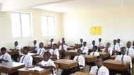 COVID-19: Private schools defy FG, prepare to participate in WASSCE