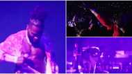 Wild commotion as Burna Boy tears shirt on stage, gives fan during Madison Square performance