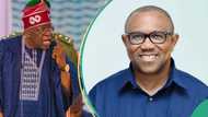 Tribunal: “I see an arrangement for Peter Obi”, Prophet David Elijah makes revelation