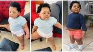 "Handsome and chubby": Baby blessed with plumpy body melts hearts on TikTok, his video goes viral