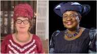 BeLikeNgoziChallenge: British high commissioner dresses up like Okonjo-Iweala to celebrate new WTO DG, shares video