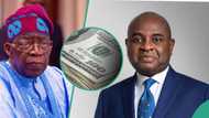 Moghalu advises FG on where to get $30bn loan to solve economic challenges