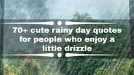 70+ cute rainy day quotes for people who enjoy a little drizzle