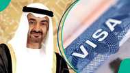 UAE announces 4 categories of people foreign residents can sponsor on visit visa