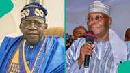 Tinubu's 2nd year: Atiku tackled over "political bitterness"