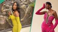 BBNaija's Vee complains about the high cost of wigs and its maintenance, fans advise her: "Cut it"