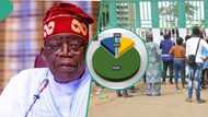 “Working for 1hr shows you are employed”: Nigeria’s unemployment rate drops to 4.1% in Q1 2023