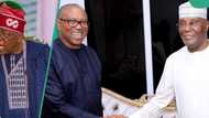 2027 presidency: APC reacts as Atiku, Peter Obi begin alliance talks