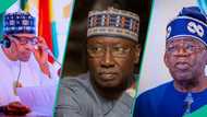 Did Tinubu make Buhari president in 2015? Ex-SGF Boss Mustapha breaks silence