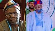 EndSARS: Implement panel reports, prosecute indicted police military officers, Falana tells Tinubu