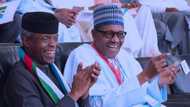 "No president like Buhari in Nigeria’s history": APC spokesperson lists achievements