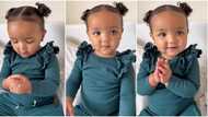 "She loves learning": Little girl who knows how to count numbers in 4 languages goes viral, video trends