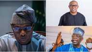 2023 presidency: Trouble in paradise as APC youths blast Obasanjo, mocks him for supporting Peter Obi