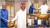 Africa's richest man Aliko Dangote visits President-elect Bola Tinubu, photos emerge