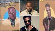 “Arrest the artist”: Funny painting of Davido, Wizkid, Burna Boy gets fans laughing hard, video causes stir