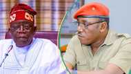 Buhari's ex-minister Dalung shades Tinubu, shares his WAEC result, university certificates