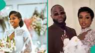 Chivido VS JP 2025: Fans make comparison between Chioma and Priscilla's wedding dress, "Priscy won"