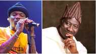 2023 elections: "Wizkid Fc can’t run from this," Singer dragged over alleged 2015 campaign song for Jonathan