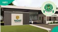 Full list: Wigwe University offers scholarships to top JAMB scorers