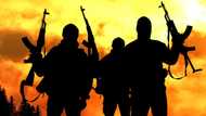 Gunmen invade residence of former PDP chairman, kill nephew, abduct 3