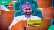 Renewed Hope Ambassadors congratulate Rep Kabir Bichi on APC campaign council appointment