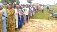 APC ward congress: Oyetola's group reportedly boycotts direct primary option in Osun