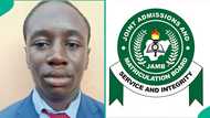 2026 UTME top scorer in Ekiti school scores over 320 as 6 other students get over 300, results trend