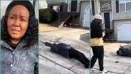 "They don't play about their boys": Mother rolls on the floor as son returns home after 10 years